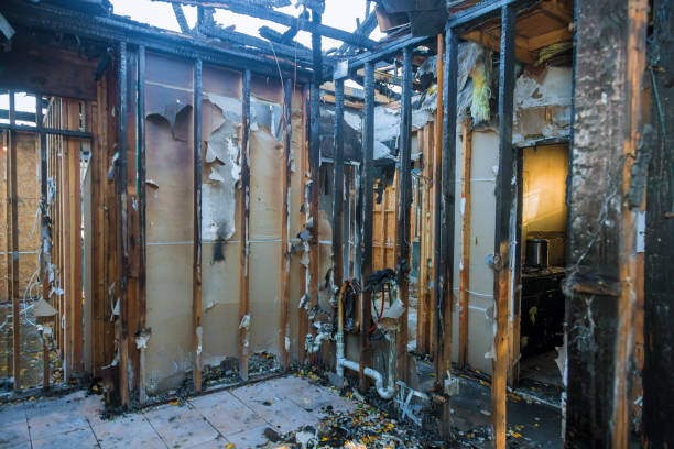 Professional Smoke Damage Removal technician working in Gilbert, MN