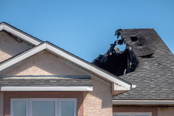 Top rated local Smoke Damage Removal specialists in Gilbert, MN